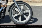 Thumbnail Photo 3 for 2023 Harley-Davidson Softail Standard