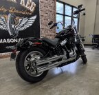 Thumbnail Photo 3 for 2023 Harley-Davidson Softail Standard