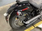 Thumbnail Photo 5 for 2023 Harley-Davidson Softail Standard