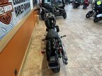 Thumbnail Photo 4 for 2023 Harley-Davidson Softail Standard