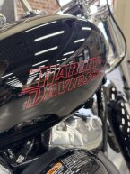 Thumbnail Photo 2 for 2023 Harley-Davidson Softail Standard