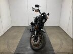 Thumbnail Photo 1 for 2023 Harley-Davidson Softail Low Rider S