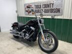 Thumbnail Photo 1 for 2023 Harley-Davidson Softail Standard