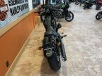 Thumbnail Photo 4 for 2023 Harley-Davidson Softail Low Rider S
