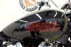 Thumbnail Photo 3 for 2023 Harley-Davidson Softail Standard