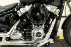 Thumbnail Photo 2 for 2023 Harley-Davidson Softail Standard