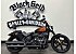 2023 Harley-Davidson Softail Street Bob 114