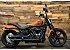 2023 Harley-Davidson Softail