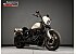 2023 Harley-Davidson Softail Low Rider S