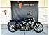 2023 Harley-Davidson Softail Standard