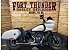 2023 Harley-Davidson Softail Low Rider ST