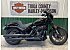 2023 Harley-Davidson Softail Low Rider S