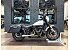 2023 Harley-Davidson Softail
