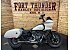 2023 Harley-Davidson Softail Low Rider ST
