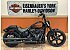 2023 Harley-Davidson Softail Street Bob 114