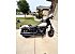2023 Harley-Davidson Softail Low Rider S