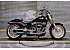 2023 Harley-Davidson Softail