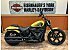2023 Harley-Davidson Softail Street Bob 114