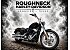 2023 Harley-Davidson Softail