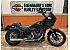 2023 Harley-Davidson Softail Low Rider S