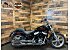 2023 Harley-Davidson Softail Standard