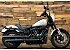2023 Harley-Davidson Softail