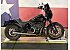 2023 Harley-Davidson Softail