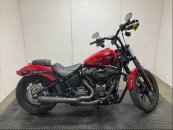 2023 Harley-Davidson Softail Street Bob 114