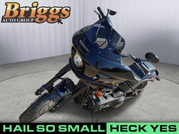 2023 Harley-Davidson Softail Low Rider ST