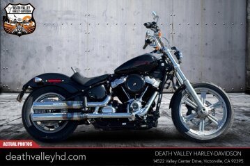 2023 Harley-Davidson Softail Standard