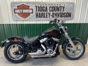 2023 Harley-Davidson Softail Standard