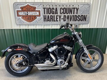 2023 Harley-Davidson Softail Standard