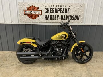 2023 Harley-Davidson Softail Street Bob 114