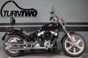 2023 Harley-Davidson Softail Standard