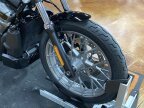 Thumbnail Photo 1 for 2023 Harley-Davidson Sportster
