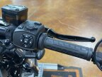 Thumbnail Photo 2 for 2023 Harley-Davidson Sportster