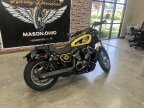 Thumbnail Photo 1 for 2023 Harley-Davidson Sportster Nightster Special