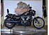 2023 Harley-Davidson Sportster