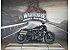 2023 Harley-Davidson Sportster S