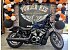 2023 Harley-Davidson Sportster Nightster Special
