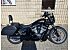 2023 Harley-Davidson Sportster