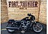 2023 Harley-Davidson Sportster Nightster Special