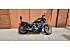 2023 Harley-Davidson Sportster Nightster Special