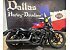 2023 Harley-Davidson Sportster Nightster