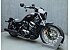 2023 Harley-Davidson Sportster Nightster Special