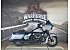 2023 Harley-Davidson Touring Road Glide Special