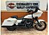 2023 Harley-Davidson Touring Road Glide ST