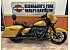 2023 Harley-Davidson Touring Street Glide Special