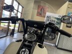 Thumbnail Photo 3 for 2023 Harley-Davidson Trike Freewheeler