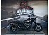 2023 Harley-Davidson Trike Freewheeler